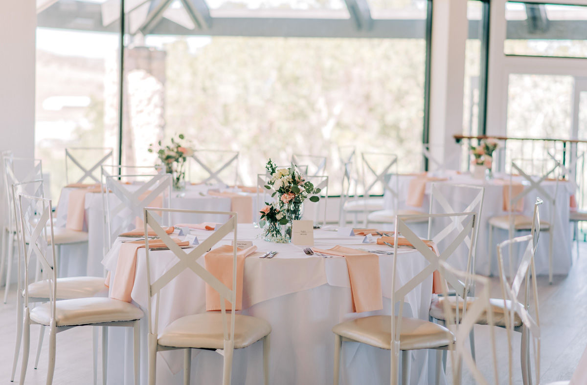 White-Base-Blush-Napkin6